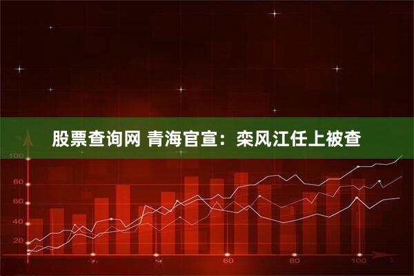 股票查询网 青海官宣：栾风江任上被查
